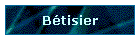 Btisier